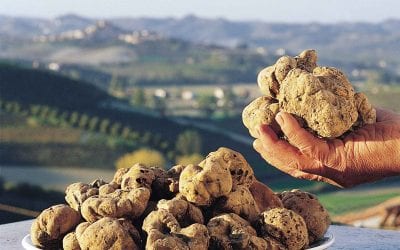 Alba White Truffle Fair