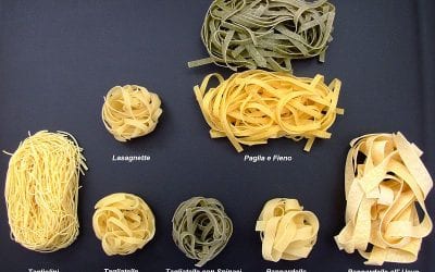 Do you know how many types of Pasta exist?