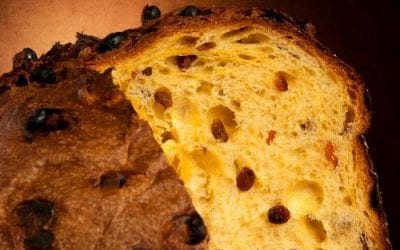 Christmas Panettone