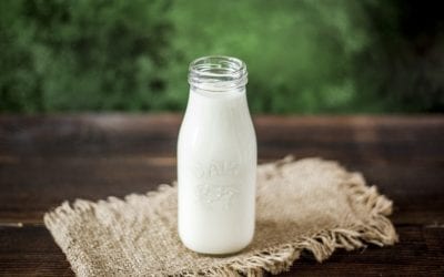 Buffalo Milk Reduces the Formation of Metastases