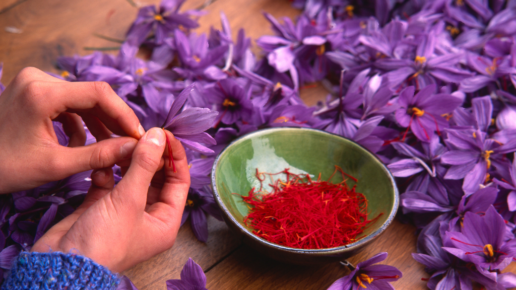 Why Saffron is Expesive